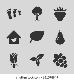 Leaf icons set. set of 9 leaf filled icons such as pear, grape, tree, raspberry, rose, leaf, eco house