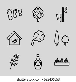 Leaf icons set. set of 9 leaf outline icons such as deel, tree, bamboo, maple syrup, sprout plants, clover, eco house