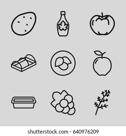 Leaf icons set. set of 9 leaf outline icons such as leaf, potato, apple, deel, grape, maple syrup, pot for plants