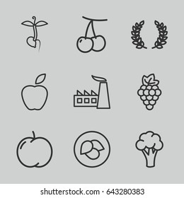 Leaf icons set. set of 9 leaf outline icons such as leaf, apple, cherry, grape, cauliflower, factory, sprout