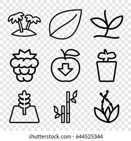Leaf icons set. set of 9 leaf outline icons such as mulberry, leaf, bamboo, plant in pot, palm, tree, plant