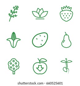 Leaf icons set. set of 9 leaf outline icons such as potato, pear, deel, corn, tree, flower, strawberry, sprout