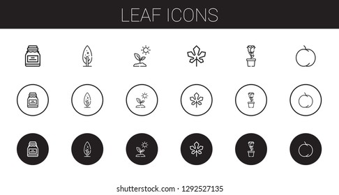leaf icons set. Collection of leaf with conserve, tree, sprout, maple leaf, rose, peach. Editable and scalable icons.