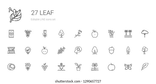 leaf icons set. Collection of leaf with peach, palm tree, plant, scarecrow, grape, bouquet, coconut, hazelnut, tree, ozone, apple, renewable energy. Editable and scalable leaf icons.