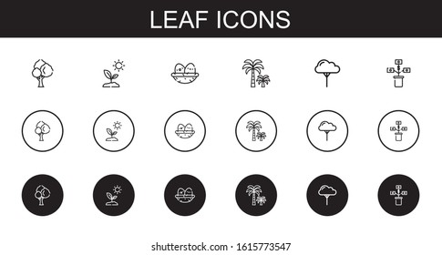 leaf icons set. Collection of leaf with tree, sprout, nest, palm tree, growth. Editable and scalable leaf icons.