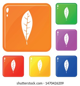Leaf icons set collection vector 6 color isolated on white background