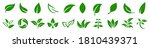 Leaf icons set ecology nature element, green leafs, environment and nature eco sign. Leaves on white background – stock vector