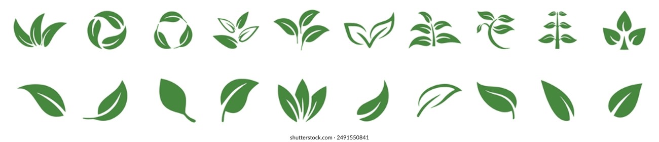 Leaf icons set ecology nature element, green leafs, environment and nature eco sign. Leaves on white background – stock vector