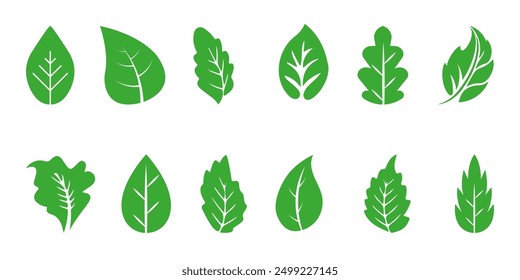 Leaf icons set ecology nature element, green leafs, environment and nature eco sign. Eco, bio, natural, vegan, herbal icon. Leaf flat vector illustrations isolated on white transparent background.