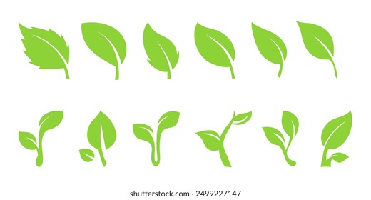 Leaf icons set ecology nature element, green leafs, environment and nature eco sign. Eco, bio, natural, vegan, herbal icon. Leaf flat vector illustrations isolated on white transparent background.
