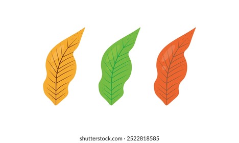 Leaf icons set ecology nature element, green leaf. Autumn leaf.