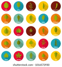 Leaf icons set. Flat illustration of 25 leaf vector icons circle isolated on white