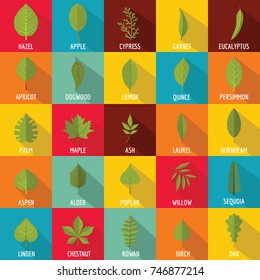 Leaf icons set. Flat illustration of 25 leaf vector icons for web