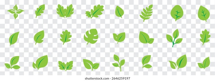 Ícones folha definidos. Ícones de vetor de folha verde e preto. Logotipo da folha Eco. Verde deixa a coleção. Ilustração do vetor de folha da ecologia. Eps 10
