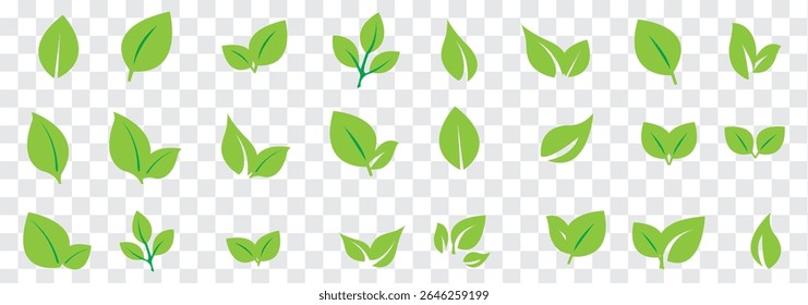 Leaf icons set. Green and Black leaf vector icons. Eco leaf logo. Green leaves collection. Ecology leaf  vector illustration. Eps 10
