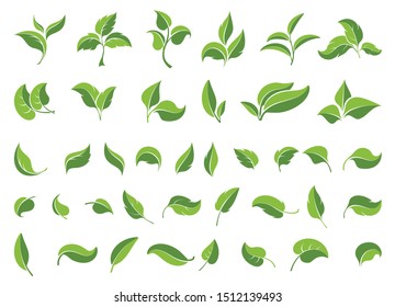 Leaf icons set. Set  green leaves design elements. Various shapes  leaves  trees and plants. Concept environmental conservation, nature protection, ecology. Isolation. Vector illustration