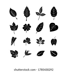 Iconos de hoja establecidos para la ilustración en fondo blanco.