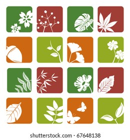 Leaf icons set. Illustration vector.