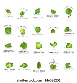 Leaf Icons Set  - Isolated On White Background - Vector illustration, Graphic Design Editable For Your Design. Leaf Logo
