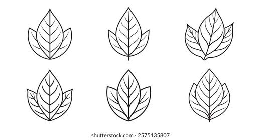 Leaf icons set. Leaves icon on isolated background.