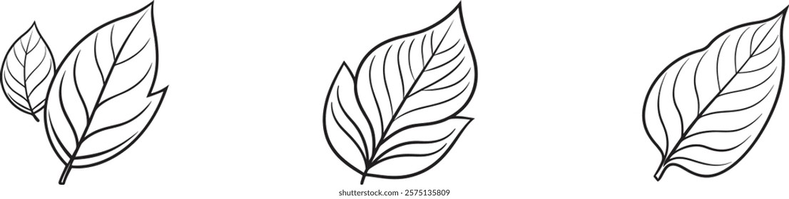 Leaf icons set. Leaves icon on isolated background.