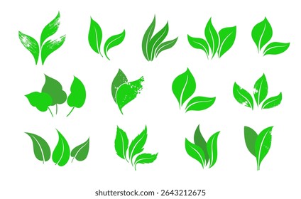 Leaf icons set. Leaves icon on isolated background. Leaves collection. Template for package and cover. Elements  for natural, eco, vegan, bio labels. Vector illustration EPS 10