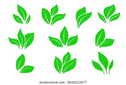 Leaf icons set. Leaves icon on isolated background. Leaves collection. Template for package and cover. Elements  for natural, eco, vegan, bio labels. Vector illustration EPS 10