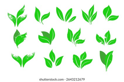 Blattsymbole festgelegt. Hinterlässt ein Symbol auf isoliertem Hintergrund. Verbleibt die Sammlung. Vorlage für Verpackung und Deckel. Elemente für Natur-, Öko-, Vegan-, Bio-Etiketten. Vektorgrafik EPS 10