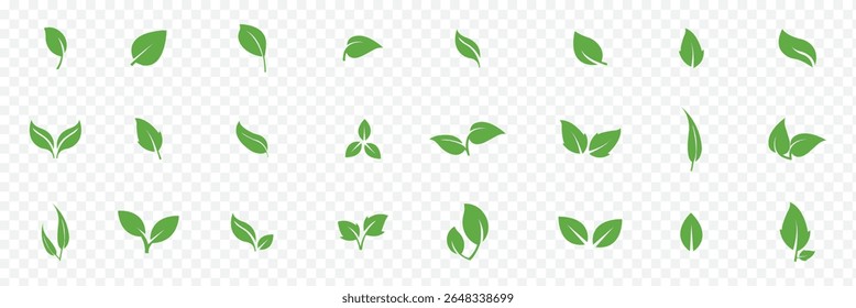  leaf icons set. Leaves icon on transparent background. Collection green leaf. eps 10