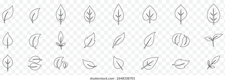  leaf icons set. Leaves icon on transparent background. Collection green leaf. eps 10