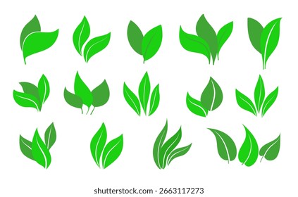 Leaf icons set. Leaves icon on isolated background. Leaves collection. Template for package and cover. Elements  for natural, eco, vegan, bio labels. Vector illustration EPS 10