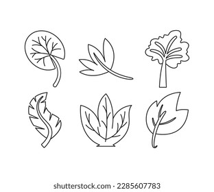leaf icons set line illustration