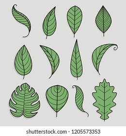 Leaf Icons Set on White Background