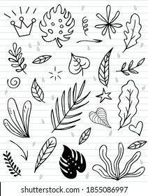 Iconos de hoja sobre fondo del Libro Blanco. ilustración vectorial.