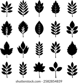 Leaf Icons Set on White Background. Vector. Organic Leaf thin line icons set. Outline web sign kit season foliage. Autumn Garden linear icon nature spices, maple, oak. Simple organic leaf black icon