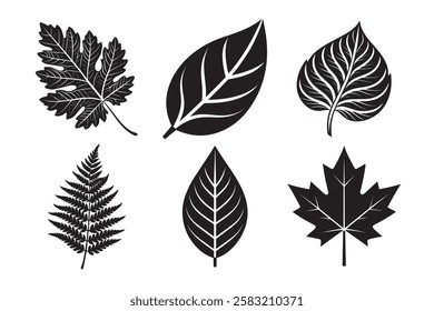 Leaf Icons Set on White Background