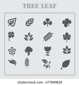 Leaf Icons Set on White Background. Vector