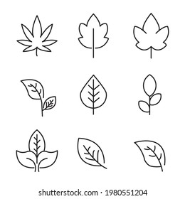 Leaf  icons set. Leaf  pack symbol vector elements for infographic web.
