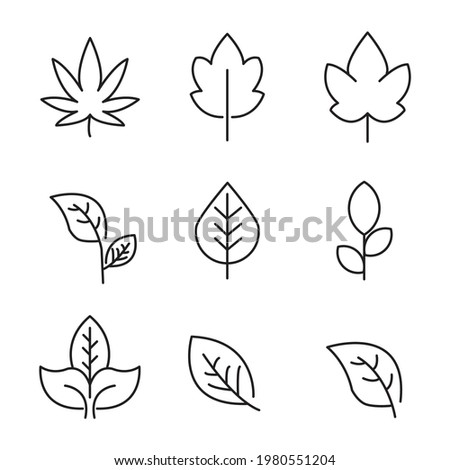 Leaf  icons set. Leaf  pack symbol vector elements for infographic web.