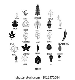 Leaf icons set. Simple illustration of 25 leaf vector icons for web