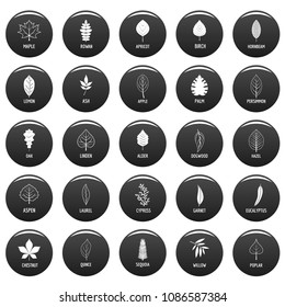 Leaf icons set. Simple illustration of 25 leaf vector icons black isolated