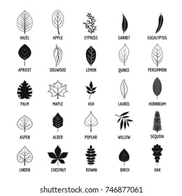 Leaf icons set. Simple illustration of 25 leaf vector icons for web