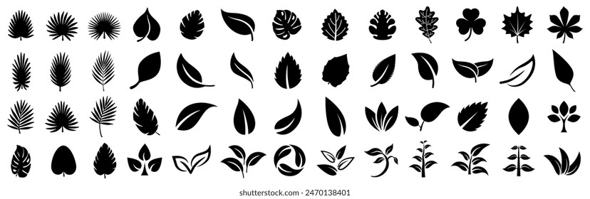 Leaf icons set, tropical leaves set, palm leaves silhouettes isolated, green leafs, environment and nature eco sign