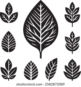 Leaf icons set, tropical leaves set, palm leaves silhouettes isolated, green leaf's, environment and nature eco sign
