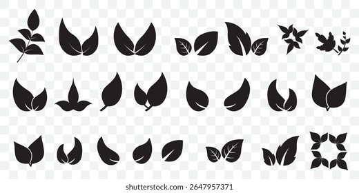 Leaf icons set, tropical leaves set, palm leaves silhouettes isolated, Black leafs, environment and nature eco sign on Transparent Background. EPS 10.