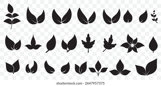 Leaf icons set, tropical leaves set, palm leaves silhouettes isolated, Black leafs, environment and nature eco sign on Transparent Background. EPS 10.