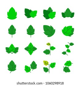 leaf icons set. vector illustration.