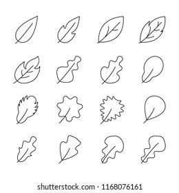 leaf icons set. vector illustration.