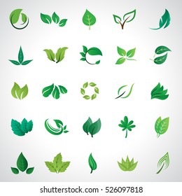 Leaf icons set, vector illustration. Collection of green leaves. Different shapes in modern flat style. Simple cartoon flat style. Green leaves design elements