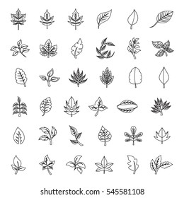 Leaf icons set, vector illustration. Collection of black leaves. Different shapes in modern flat style. Simple contour, cartoon flat style. Black leaves design elements, isolated on white.